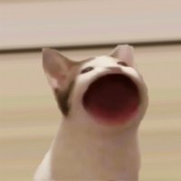 Popcat | Fan Page (@popcat0x) 's Twitter Profile