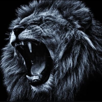 ChibuzoDaniel7's profile picture. 