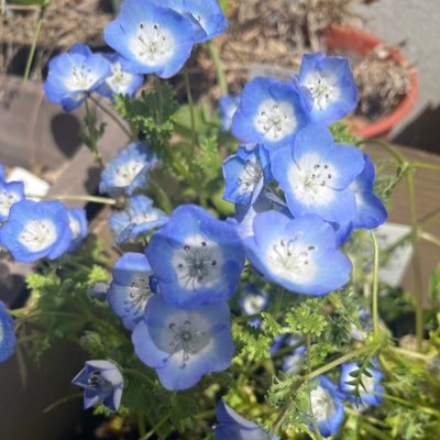 初めまして、ももです! 空き時間を有効活用してお小遣い稼ぎしてみませんか? お得な情報を定期的に配信していきます✨️ 気になる方はリンクから追加お願いします🙇♀️ https://t.co/X1gj6nLWq4