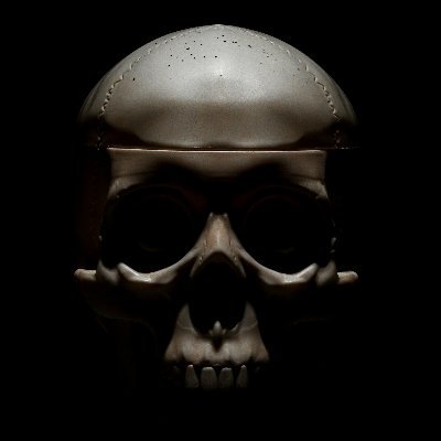 jrminoza14's profile picture. Fortis Fortuna Adiuvat