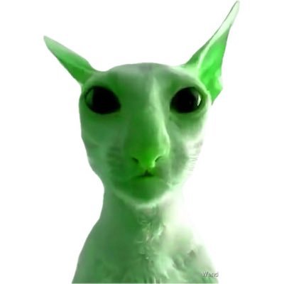 loloepe2's profile picture. 