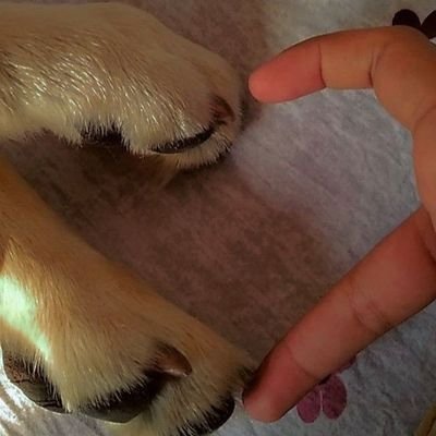 CelinaGomz4403's profile picture. all about zoo 🐾🐕🍆🔞