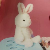 りこ (@hpfr0523) 's Twitter Profile