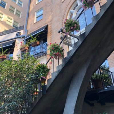 CaShCaRt1e2900's profile picture. 18🩻