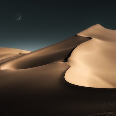 DarrylCastle42's profile picture. 