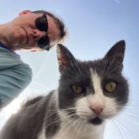 Jurgen - Minister van Katjes 🇺🇦🍉 🚙⚡️⚛️ (@jurgengeevels) 's Twitter Profile Photo Jurgen - Minister van Katjes 🇺🇦🍉 🚙⚡️⚛️ (@jurgengeevels) 's Twitter Profile Photo