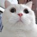K KASIDIT (@kkasidit2) Twitter profile photo K KASIDIT (@kkasidit2) Twitter profile photo