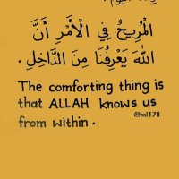 Habiba Elattar (@habiba_elattar) Twitter profile photo