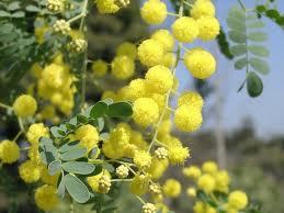 r5artsun's profile picture. お洒落だいすきです＊森＋古着//ボブ＋ロングスカート○°