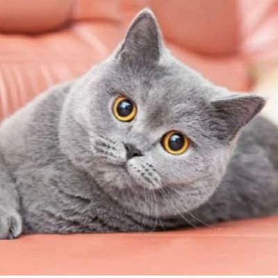 AoeyNanthiya's profile picture. 