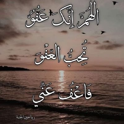 wissam8765's profile picture.