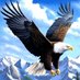 Abid Shah (@abidshah498839) Twitter profile photo Abid Shah (@abidshah498839) Twitter profile photo