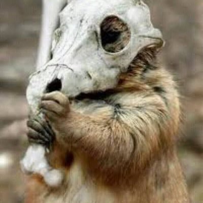 saitilo's profile picture. VRCとLoLのアカウントで再スタートしました

VRC所属イベント
@vrc_human_farm @vrc_CrazyGirls @Versteck_vrc @MeltDown_VRC
@Yumebako_VRC