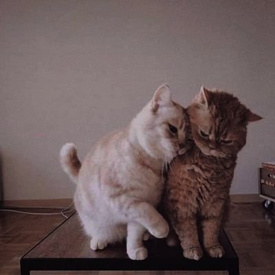 lqtat664781's profile picture. 