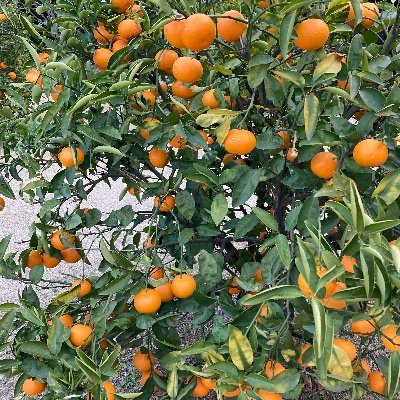 nzNaKgCRvm9968's profile picture. 