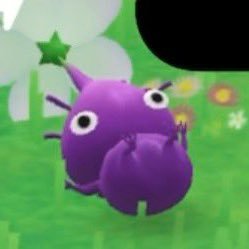 yang_olrlA's profile picture. 