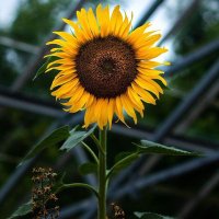 Gamze (@gamze1066042) 's Twitter Profile Photo