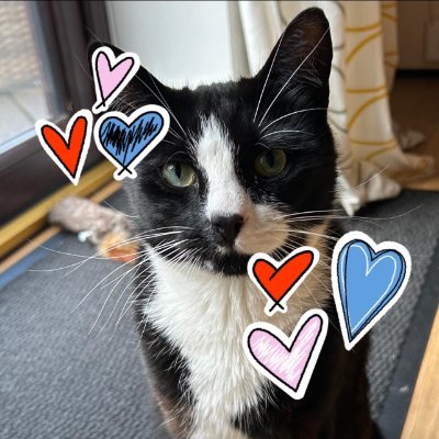 savvydee97's profile picture. NFFC❤️Notts/Syd🌍