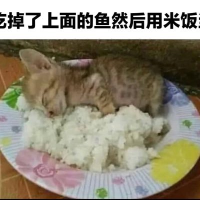 pupupuputao's profile picture. 🍦 🍦 🍦 🍦 🍦 🍦 🍦 🍦 🍦 🍦 🍦 🍦 🍦 🍦 🍦 🍦 🍦