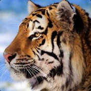 LawrenceGr58922's profile picture. Swing trader focused on large-cap tech stocks like Apple & Tesla