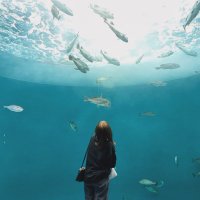 はるな (@makaroni78960) 's Twitter Profile