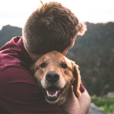 AlexandreL87260's profile picture. 