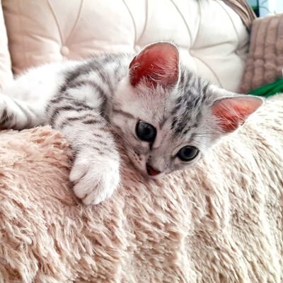 khali_87's profile picture. - MD and specialist in pediatric #oncology/#immuno-oncology
- #Crypto enthusiast