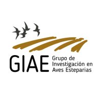 Grupo de Investigación en Aves Esteparias (@giaeavesteparia) 's Twitter Profile Photo Grupo de Investigación en Aves Esteparias (@giaeavesteparia) 's Twitter Profile Photo