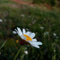 Simone (@simon242884) Twitter profile photo