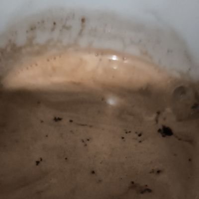 hBdVVkfbNC66539's profile picture. 学会垢です。
こんにちは😳
お手柔らかに宜しくお願いいたしますm(._.)m

学会4世です(*^^*)

🌈🇷🇴🌈🇷🇴🌈🇷🇴