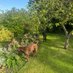 Knoll Hill Farm | The Place to Stay (@knollhillfarm) Twitter profile photo Knoll Hill Farm | The Place to Stay (@knollhillfarm) Twitter profile photo