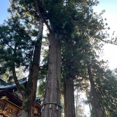 四柱推命、姓名判断、タロット、風水、奇門遁甲、吉日鑑定で開運✨運勢、性格、適職、相性、風水、吉日等を鑑定🍀開運法のポストで運気上昇☺️悪い事ばかり立て続けに発生!いつまで続くの?→四柱推命の先生に言い当てられた経験から自分も鑑定の道へ✨皆さまの転ばぬ先の杖になります🍀暦のパワーでさらに開運🍀🍀🍀