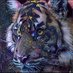 Tsegii (@tsegii1105) Twitter profile photo Tsegii (@tsegii1105) Twitter profile photo