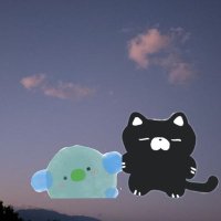 きのきの@趣味 (@kinokinopinokio) 's Twitter Profile