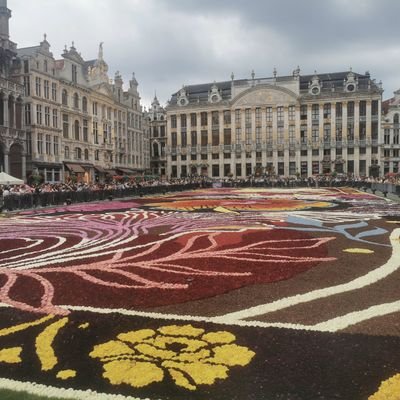 talha01071340's profile picture. mathématicien