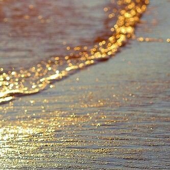 coral_crush_'s profile picture. 