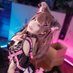 Araiguma_小完能干脆面 (@araigumacos) Twitter profile photo Araiguma_小完能干脆面 (@araigumacos) Twitter profile photo