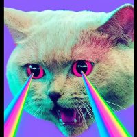 Crazymonkey (@frix3456) 's Twitter Profile
