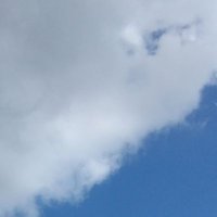 見る専 ௵ (@r_tarht) 's Twitter Profile