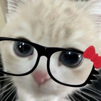 방주 (@hanark07) 's Twitter Profile Photo 방주 (@hanark07) 's Twitter Profile Photo