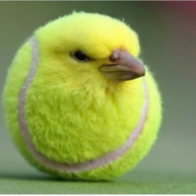 msd7753's profile picture. 