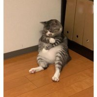 ヘル@アラフォー🦕1m K2水 (@helmet0925) 's Twitter Profile