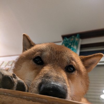 ■嵐が大好きな男子学生です。
■唐揚げが好きですが櫻井くん推しです。
■投稿に反応・フォローしてくださった方は基本フォローしています。
■基本フォロバ100%です。
■フォローよろしくお願い致します!