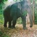 Biodiversity Conservation (@biodiversi64751) Twitter profile photo Biodiversity Conservation (@biodiversi64751) Twitter profile photo