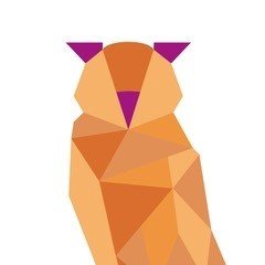 Een leven lang leren, voor elk wat wils! Cursussen | Workshops | Talen | Vrije tijd | Kookworkshops | Plezier | Hengelo | Almelo | Volwassenen |
