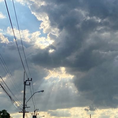 anatome49730155's profile picture. 