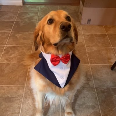 CoraysOsrs's profile picture. Maxed OSRS Collection logger 1285/1560