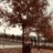 Teacher160822's profile image