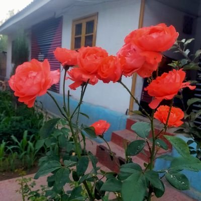 PraveenBara10's profile picture. Love is Life