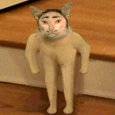 ouionsui's profile picture. 